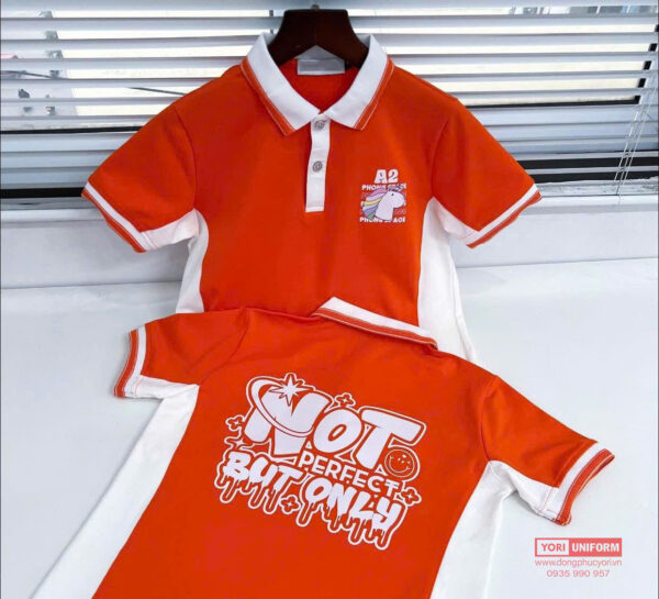 Áo thun lớp tiểu học | TS02